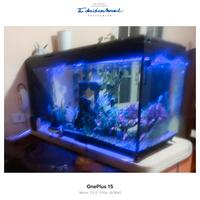 acquario 