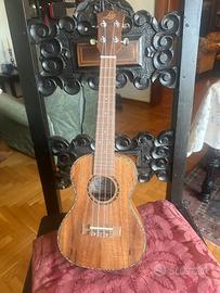 Ukulele LAX UCS-252 Concert con custodia