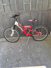 Mountain bike