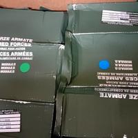 moduli esercito italiano 