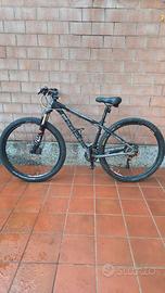 MTB focus