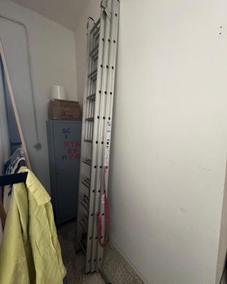 Scala telescopica professionale