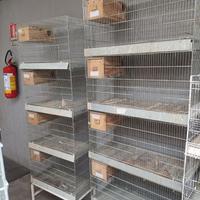 Gabbie batterie per uccelli esotici e piccoli papp