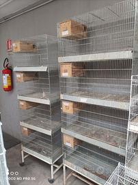 Gabbie batterie per uccelli esotici e piccoli papp