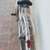 Bici con cestino e freni a bacchetta