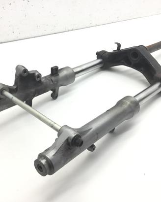 SUZUKI EPICURO 125 FORCELLA - PUNTI DI RUGGINE SU 