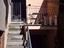 Immagine 7