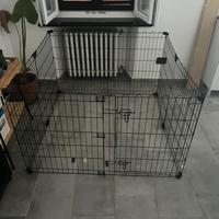 Gabbia per cani appena nati