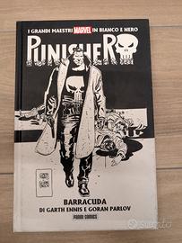 Punisher barracuda 