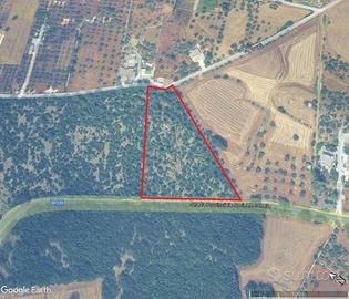 Terreno agricolo a Alberobello