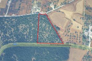 Terreno agricolo a Alberobello