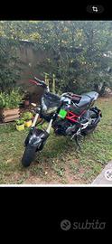 smembro Benelli tnt 125 naked