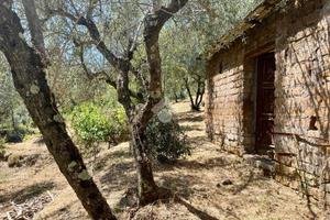 TER. AGRICOLO A SORIANO NEL CIMINO