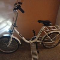bicicletta da passeggio