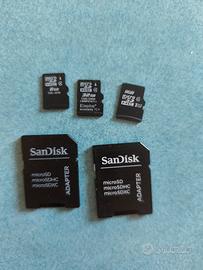 1 micro SD da 32 GB e 2 micro SD da 8 GB 