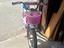Immagine 2