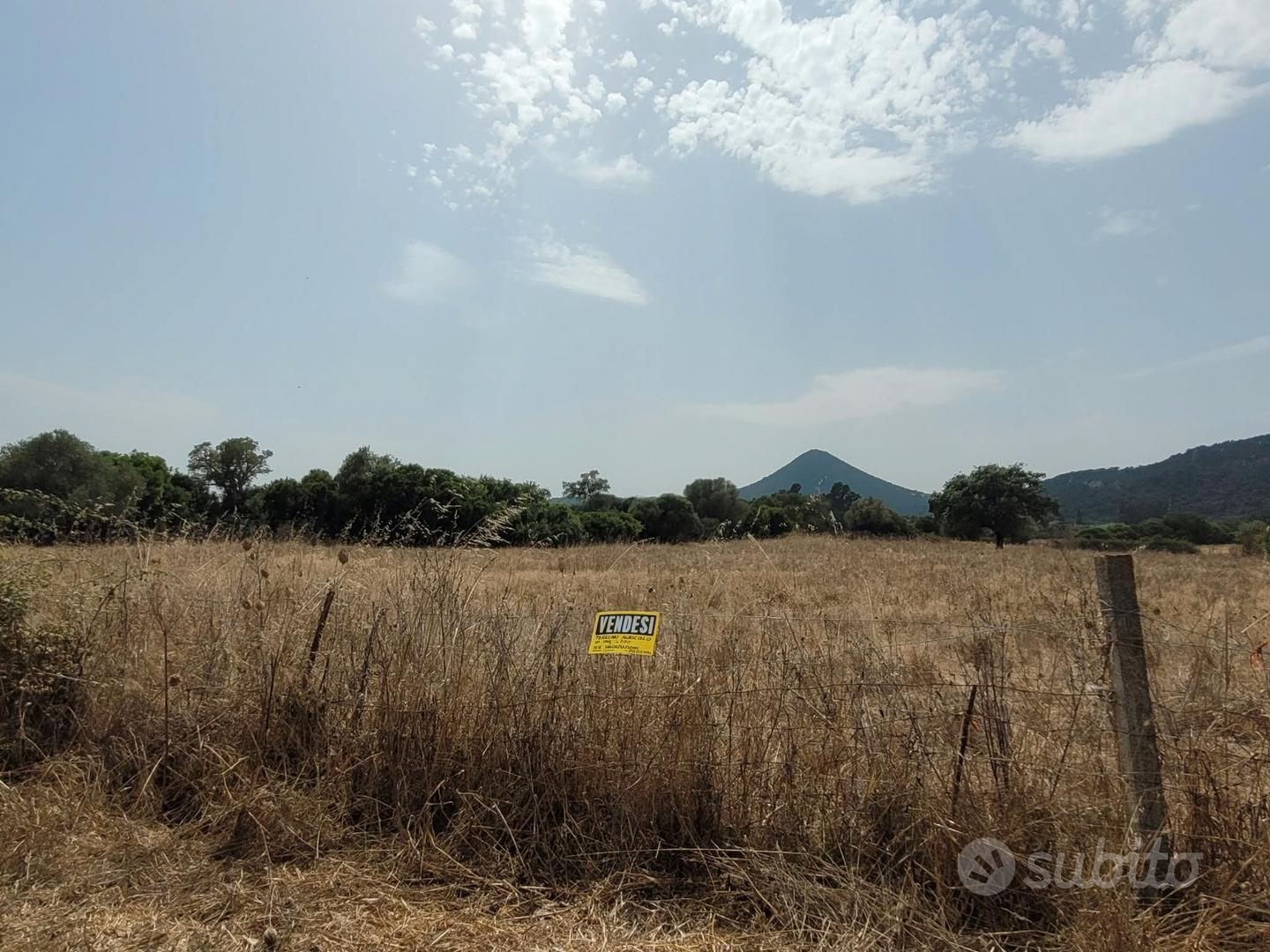 Terreno Agricolo - Vista 5