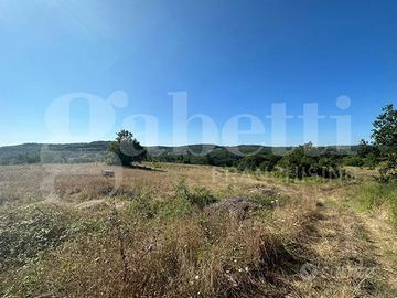 Terreno Residenziale Orte [Cod. rif 3329931VRG]