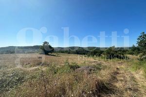Terreno Residenziale Orte [Cod. rif 3329931VRG]