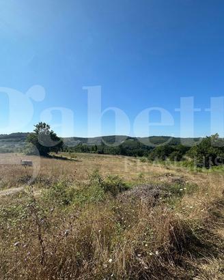 Terreno Residenziale Orte [Cod. rif 3329931VRG]