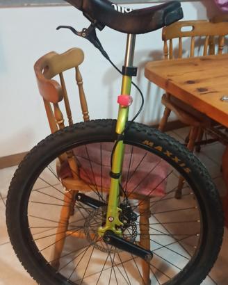 monociclo (muni) da 29 con freno a disco