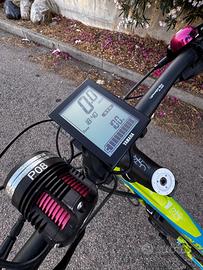 Bici pealata assistita