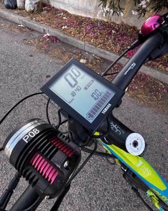 Bici pealata assistita