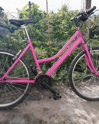 Bicicletta da donna