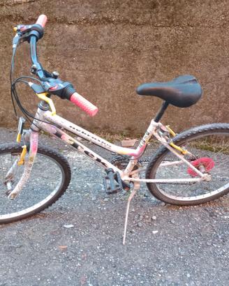 Bici misura 24