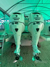 Coppia Evinrude etec g1 300