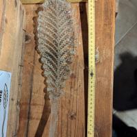 foglia lampadario antico da collezione 