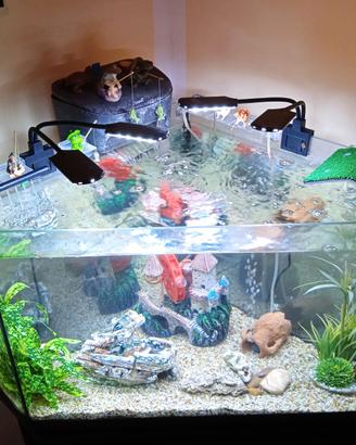 Acquario angolare full optional