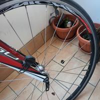 Bici da corsa