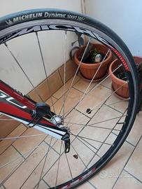 Bici da corsa