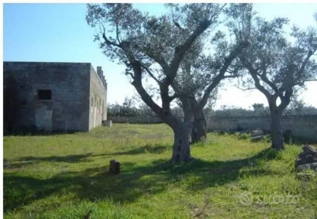 Immobile in asta di 950 m² a Collepasso - Vista 3