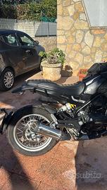 Benelli leoncino 502