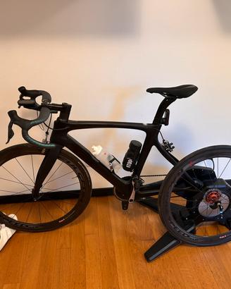 Pinare dogma f10