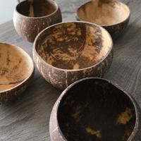 Coco bowls Bowlpros