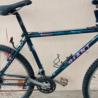 Mountain bike usata
