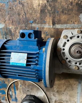 Motoriduttore Bonfiglioli BN 90LA4 + Riduttore