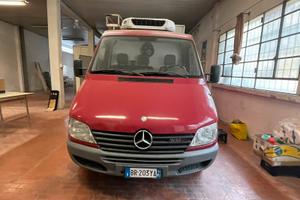 Furgone Mercedes coibentato