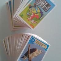 Card  Avventure nella Natura  – Collezione Coop