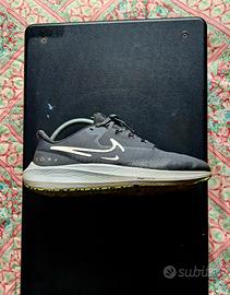 Scarpe Nike Air Zoom Pegasus 39 Shield