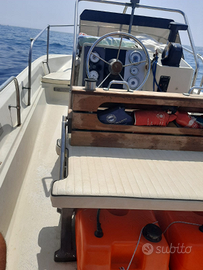 Boston Whaler Montauk 17.4