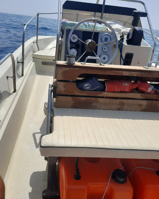 Boston Whaler Montauk 17.4