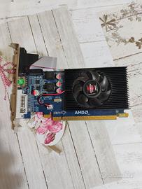 Scheda grafica AMD HD7450 da 2 GB