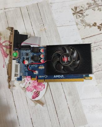 Scheda grafica AMD HD7450 da 2 GB