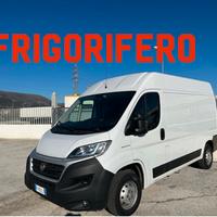 Fiat Ducato 2019 FRIGORIFERO FULL OPTIONAL
