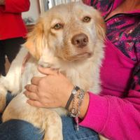 Bianca 2 anni