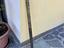 Immagine 4